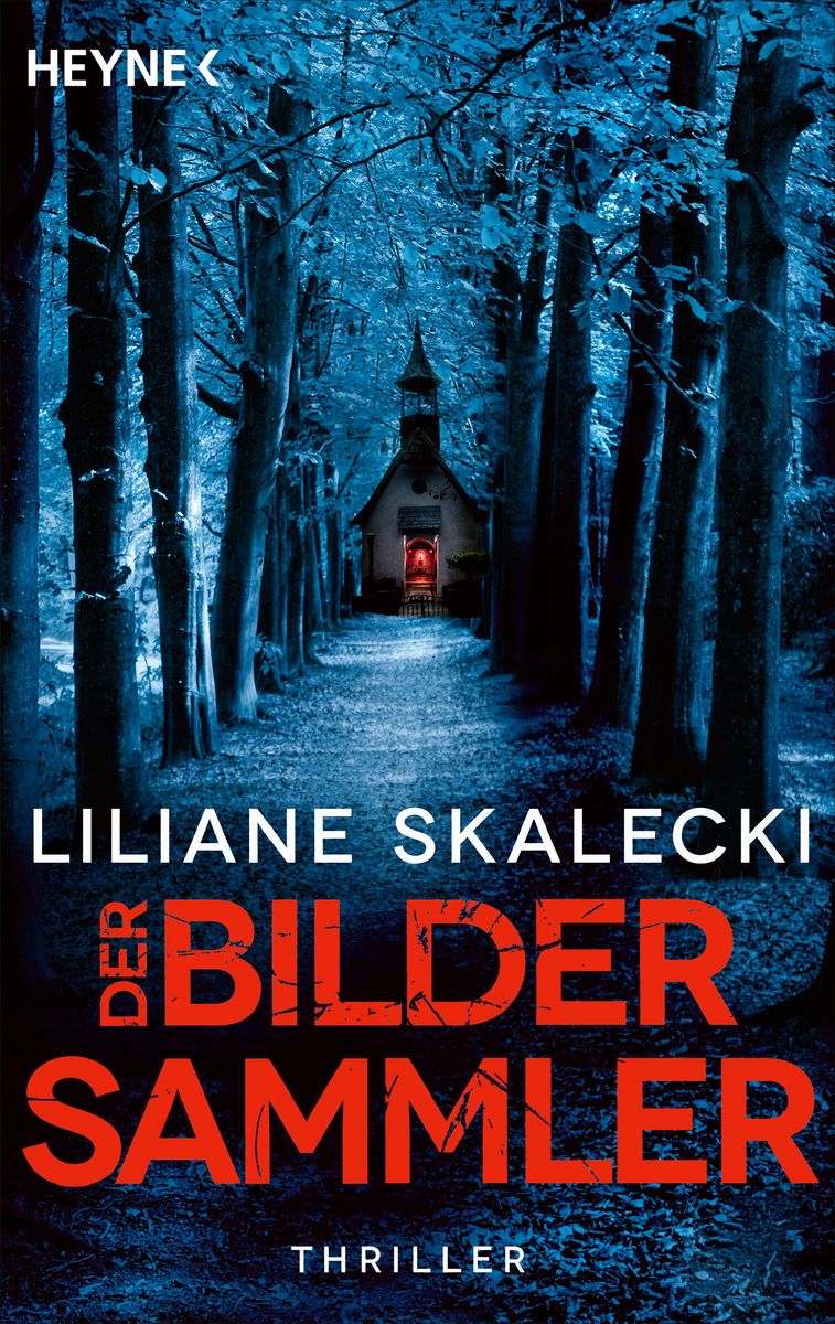 der-bildersammler-taschenbuch-liliane-skalecki